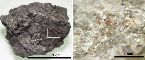 Kiri: Pecahan meteorit ALH 84001 dari Mars. Kanan: Perbesaran dari area yang mengandung butiran karbonat oranye. Kredit: Koike et al. (2020) Nature Communications.